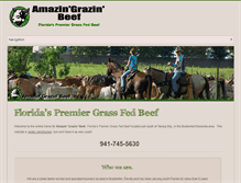 Tablet Screenshot of amazingrazinbeef.com